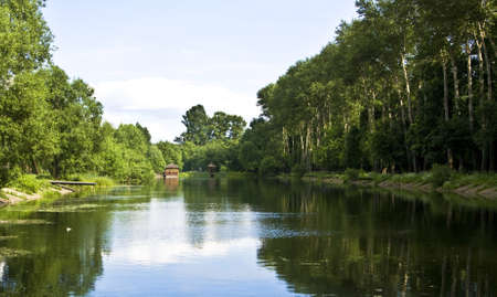 Summer water landscape - lake and forest on banks.