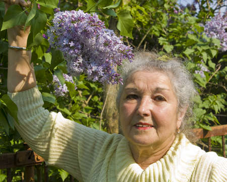 Portrait of old lady in garden with lilac flowers.の写真素材