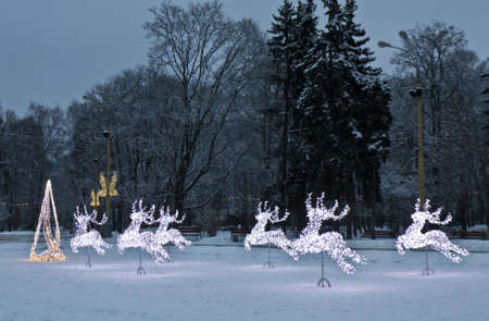 Moscow, Russia - January 02, 2012: Christmas decorations - electric sculptures of deers, recorded in park Sokolniki/のeditorial素材