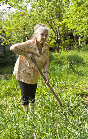 Old lady working in the garden in summer or spring.の写真素材