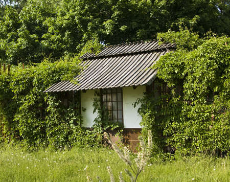 Moscow, Russia - May 28, 2011: Little white house with grape leaves around.のeditorial素材