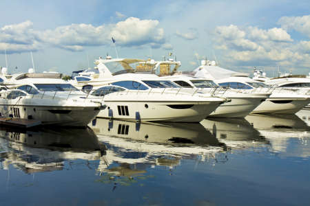 Many white yachts standing in port on water with reflection.
