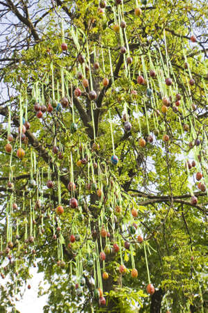 Kiev, Ukraine - May 06, 2012: painted eggs on branch of tree, decoration to Easter holiday in public park.のeditorial素材