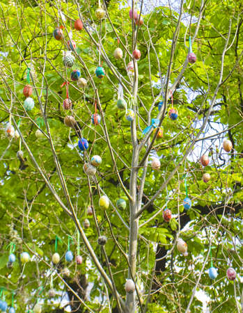 Kiev, Ukraine - May 06, 2012: painted eggs on branches of tree, decoration to Easter holiday in...