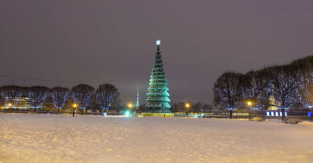 Christmas - New Year tree and trees in electric illumination in St. Petersburg, Russia.の写真素材