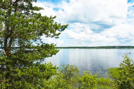 Summer landscape recorded in park Monrepo near town Vyborg in Russia on bank of Gulf of Finland.の写真素材