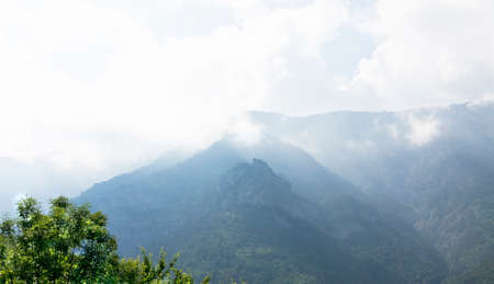 Landscape with blue hills and clouds above them, green plant in front. Recorded in region Crimea in...