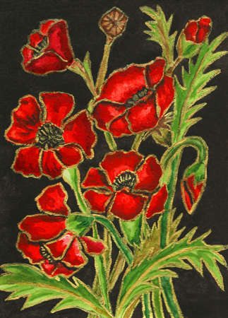 Red poppies on black background, vertical, hand painted picture, red watercolours, golden gouache, green and black gouache.の写真素材