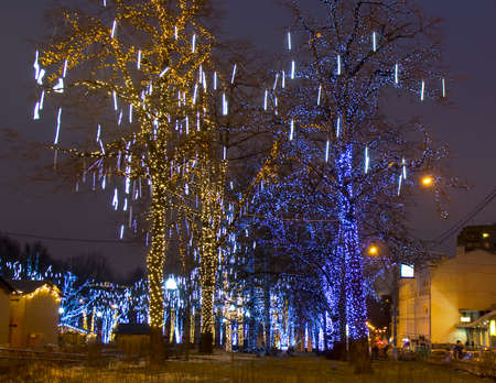 MOSCOW - DECEMBER 30, 2013  trees on Pushkinskaya square illuminated for Christmas and New Year holidays のeditorial素材