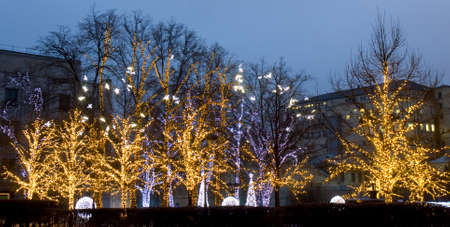 MOSCOW - DECEMBER 28, 2013: trees illuminated for Christmas and New Year holidays on Tverskaya street.のeditorial素材
