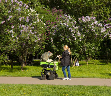 MOSCOW - MAY 16, 2014: people resting in park Lilac garden, garden has been opened in 1954 and has many unique sorts of lilac, selected for this garden and sold all over the world.のeditorial素材