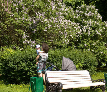 MOSCOW - MAY 16, 2014: people resting in park Lilac garden, garden has been opened in 1954 and has many unique sorts of lilac, selected for this garden and sold all over the world.のeditorial素材