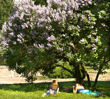 MOSCOW - MAY 16, 2014: people resting in park Lilac garden, garden has been opened in 1954 and has many unique sorts of lilac, selected for this garden and sold all over the world.のeditorial素材