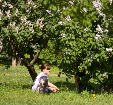 MOSCOW - MAY 16, 2014: people resting in park Lilac garden, garden has been opened in 1954 and has many unique sorts of lilac, selected for this garden and sold all over the world.のeditorial素材