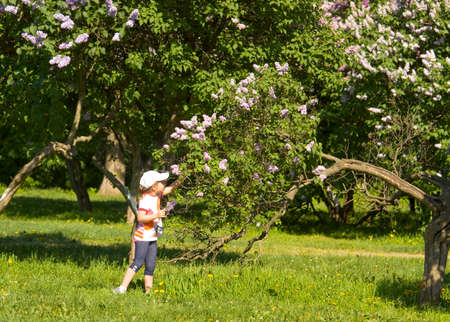 MOSCOW - MAY 16, 2014: people resting in park Lilac garden, garden has been opened in 1954 and has many unique sorts of lilac, selected for this garden and sold all over the world.のeditorial素材