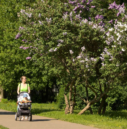 MOSCOW - MAY 16, 2014: people resting in park Lilac garden, garden has been opened in 1954 and has many unique sorts of lilac, selected for this garden and sold all over the world.のeditorial素材