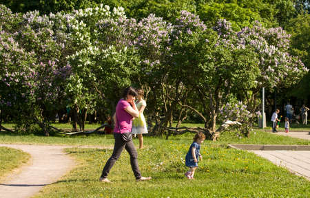 MOSCOW - MAY 16, 2014: people resting in park Lilac garden, garden has been opened in 1954 and has many unique sorts of lilac, selected for this garden and sold all over the world.のeditorial素材