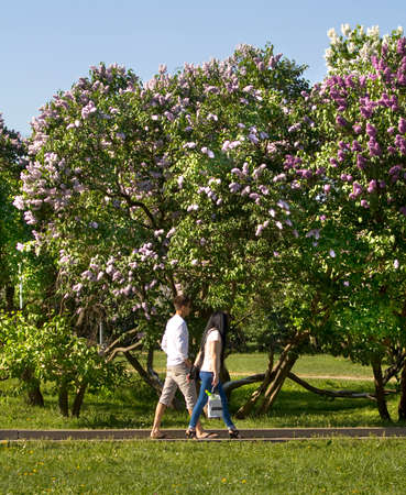 MOSCOW - MAY 16, 2014: people resting in park Lilac garden, garden has been opened in 1954 and has many unique sorts of lilac, selected for this garden and sold all over the world.のeditorial素材