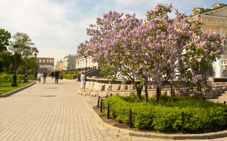 MOSCOW - MAY 15, 2014: Alexandrovsky garden near Moscow Kremlin in spring, has been founded in 1812 year.のeditorial素材