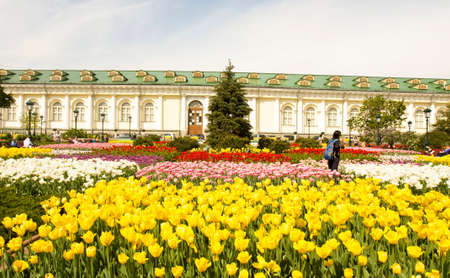 MOSCOW - MAY 15, 2014: exhibition hall "Manezh", has been built in  1817 year, and Alexandrovsky garden in spring, has been founded in 1812.のeditorial素材
