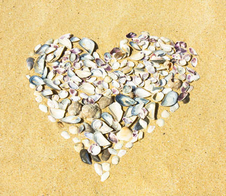 Heart made of many little shells on sand.の写真素材