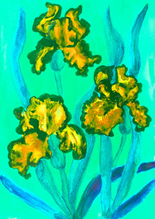 Watercolor painting, three yellow irises on green background.