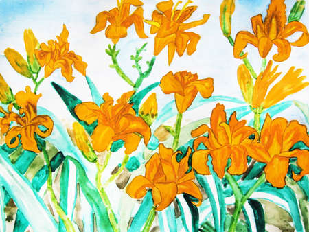 Orange daily lilies, hand drawn painting, water colours.の写真素材