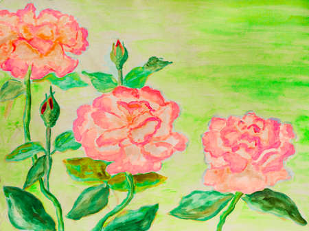 Hand painted picture, watercolours - three roses of pink colour.の写真素材
