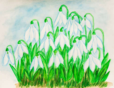 Snowdrops, watercolor paintingの写真素材