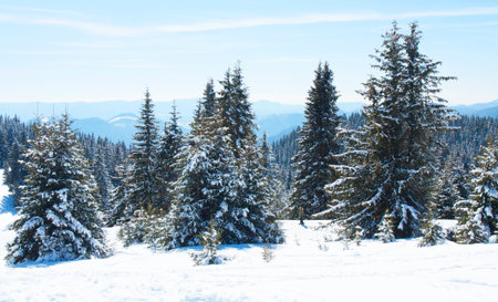 Ski resort Pamporovo in the Rhodopes mountains in Bulgariaの写真素材