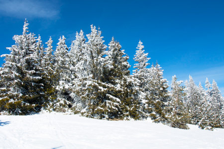 Ski resort Pamporovo in the Rhodopes mountaines in Bulgariaの写真素材