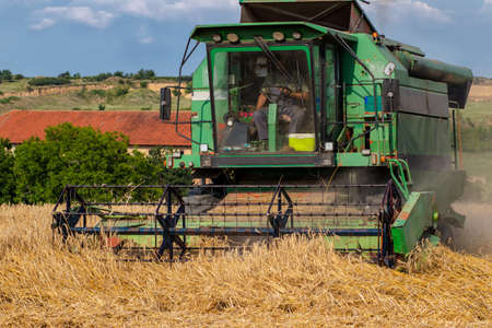 Front view of an old combine harvester working on a wheat field. Agriculture and harvesting concept.