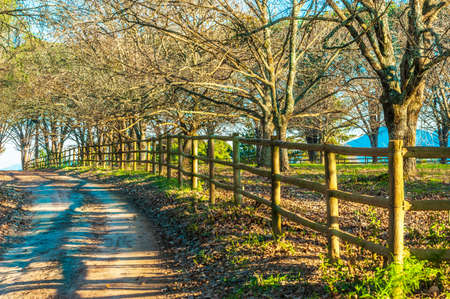 Country Road