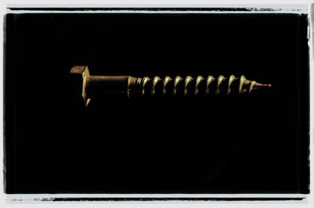 Flat-headed brass screw on a dark background with a border