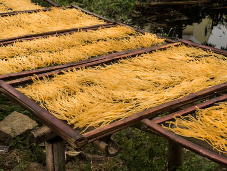 Home made noodles drying in the sun. Hoi An, Vietnam.
