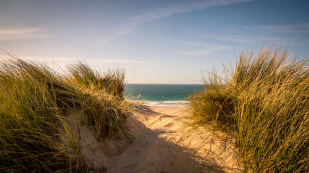 England, Cornwallの写真素材