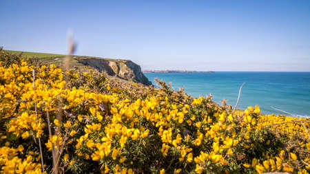 England, Cornwallの写真素材