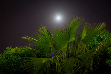 timelapse of moon settingの写真素材