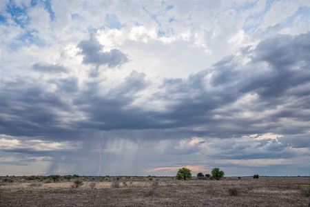 Thunderstorm at the Central Kalahari Game Reserve in Botswanaの写真素材