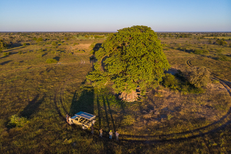 Drone shot of a trip to an old baobab tree in Botswanaの写真素材