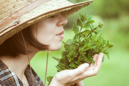 A young girl gardener in a straw hat holds a bouquet of harvested fresh mint and inhales its wonderful menthol scent, a woman is harvesting in the garden.の写真素材