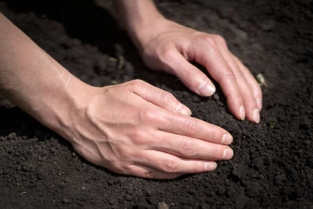 The hands of a farmer on the black ground close-up.の写真素材