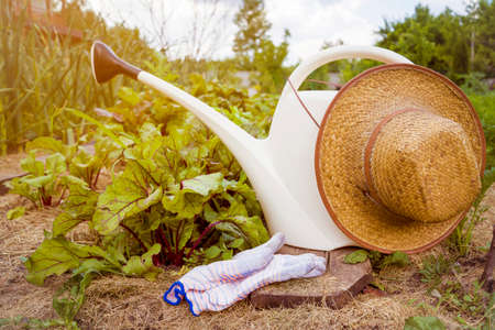 The straw hat lies on a white watering can.の写真素材