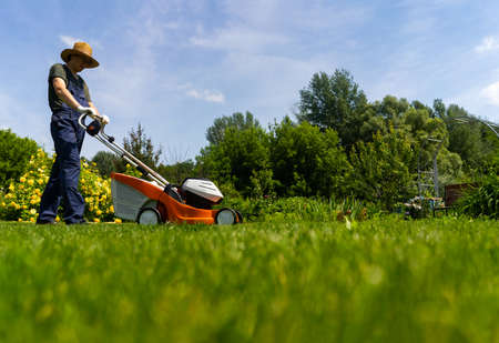 A professional gardener with a lawnmower cares for the grass in the backyard.の写真素材