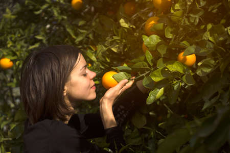 A young girl holds ripe delicious oranges in her hands .の写真素材