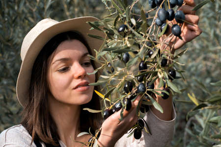 Girl holds a branch with black olives in her hands.の写真素材