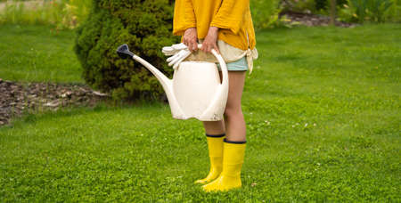 A professional woman gardener with a watering can is irrigating her lawn and flowers.の写真素材