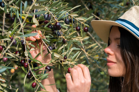 Girl holds a branch with black olives in her hands.の写真素材