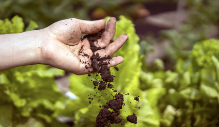 A closeup of a hand holding fertile ecological soil for planting