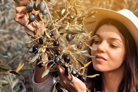 Girl holds a branch with black olives in her hands.の写真素材